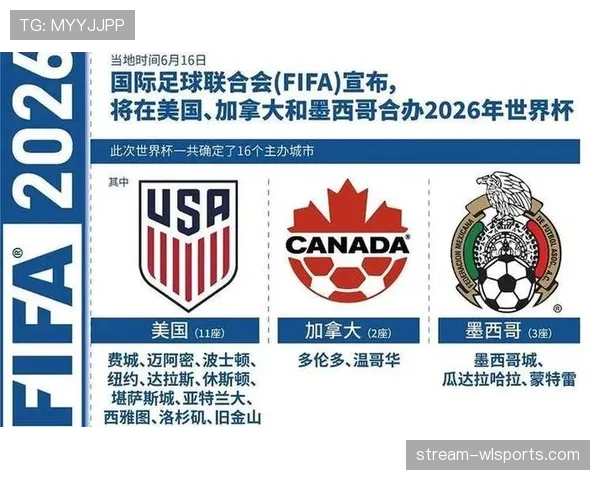 2026世界杯排名流程解析